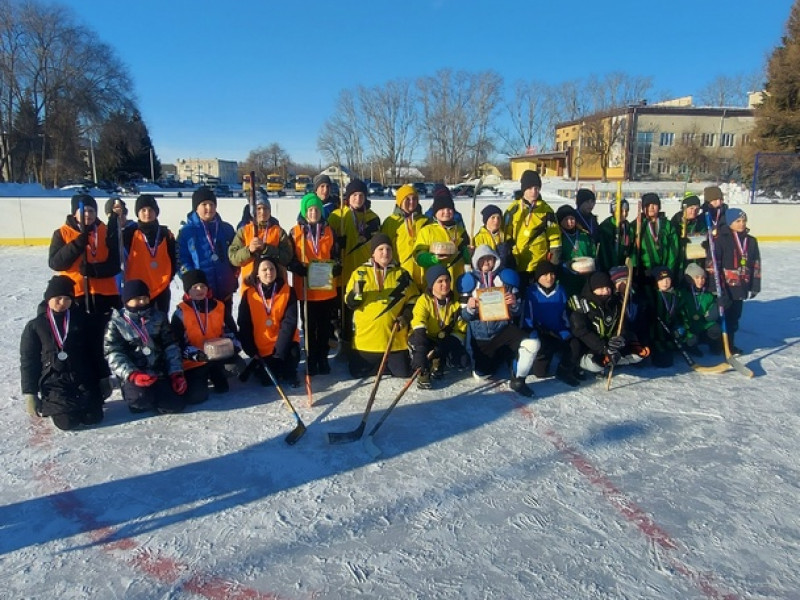 Районные соревнования по хоккею с мячом на валенках, посвященные Дню рождения Ульяновской области.